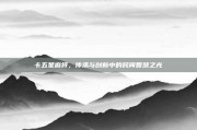 卡五星麻将，传承与创新中的民间智慧之光