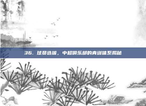 36. 球员选拔，中超俱乐部的青训体系揭秘