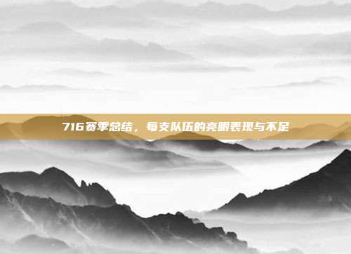 716赛季总结，每支队伍的亮眼表现与不足