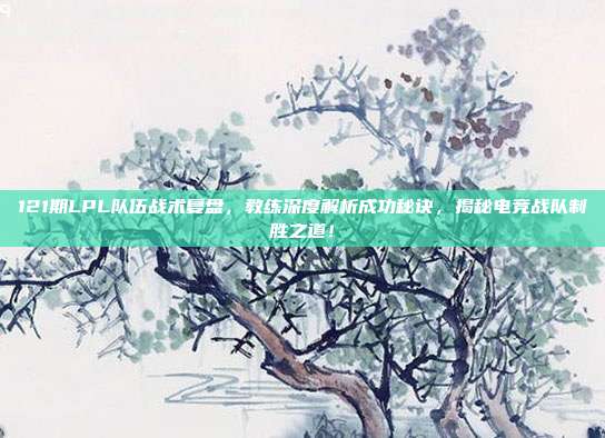 121期LPL队伍战术复盘，教练深度解析成功秘诀，揭秘电竞战队制胜之道！