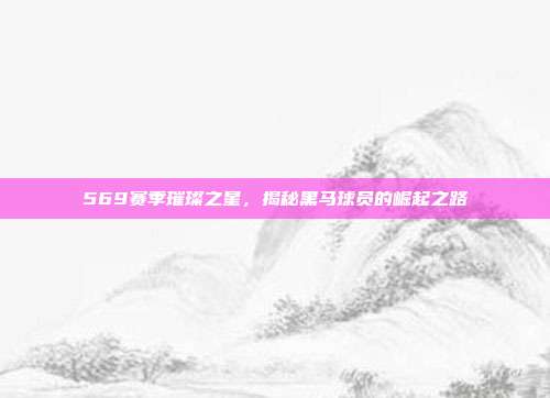 569赛季璀璨之星，揭秘黑马球员的崛起之路