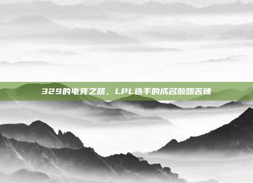 329的电竞之路，LPL选手的成名酸甜苦辣