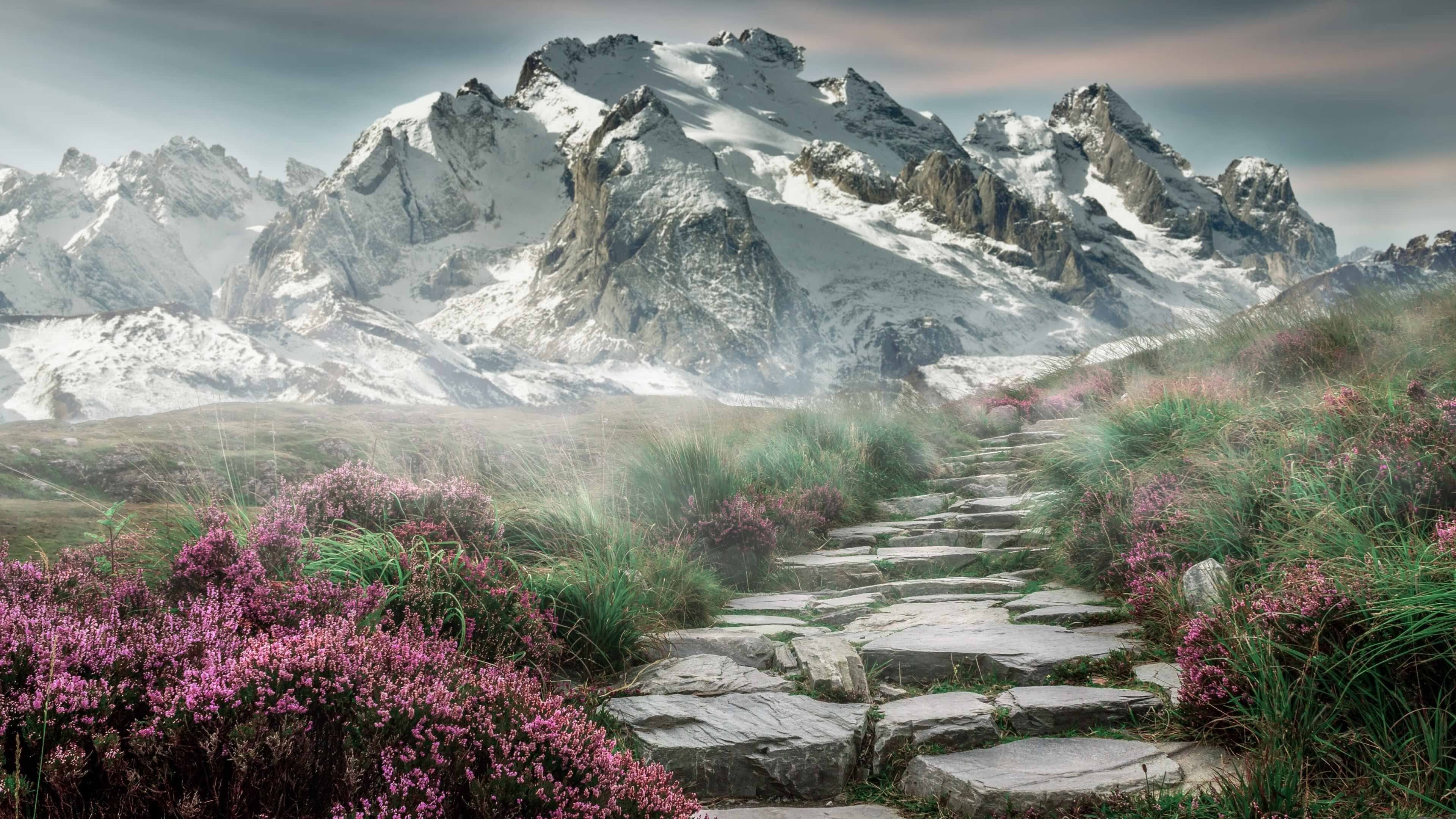 在线体育博彩-跨越新纪元，v7.2.5 版本正式发布，开启智能协同新篇章